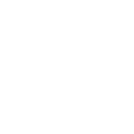 Bird icon