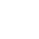 Bug icon