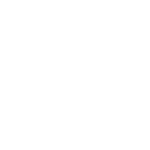 Whale icon
